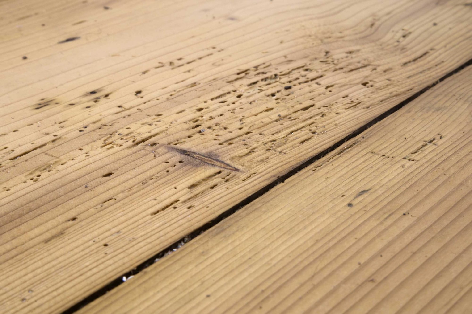 Woodworm Treatment Lurgan